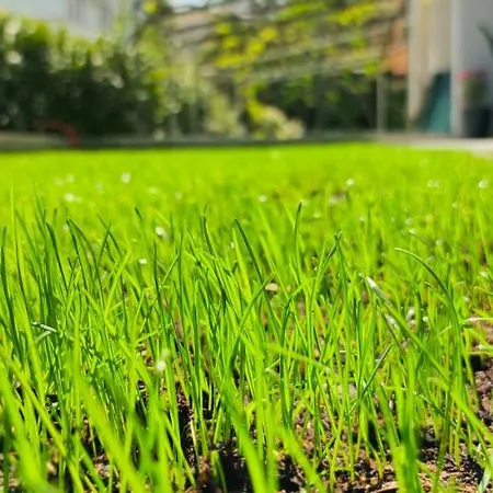 Denis Apartmán Krk Town