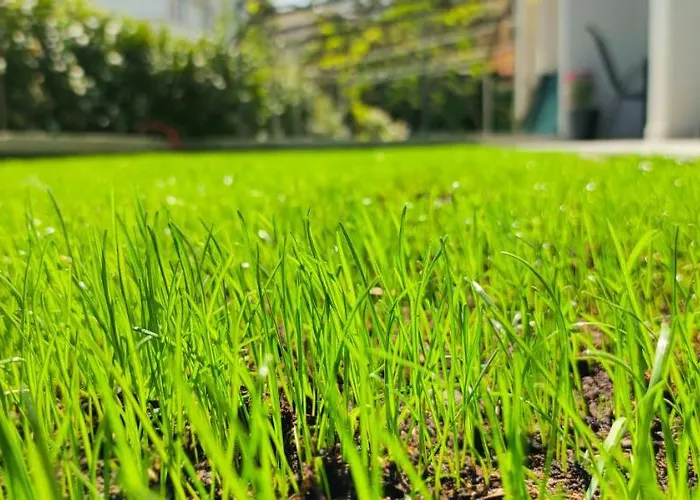 Denis Apartmán Krk Town